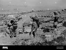 Image result for Flat White 1918 Military