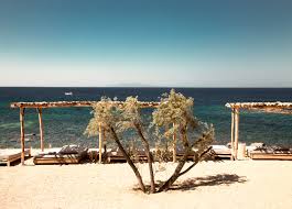 Ο ανωμερίτης (ανατολικά) και ο βορνιώτης (βόρεια). The Best Island Nightclub At Scorpios Mykonos Travel Food People
