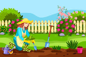 Woman watering flowers at garden or yard vector. Free Cartoon Garden Vectors 22 000 Images In Ai Eps Format