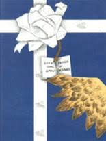 Cactus Shadows High School