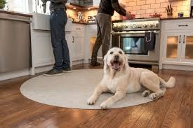 What that means is this thanksgiving dinner for dogs can be fed one day without issue, but do not use this recipe as a meal replacement. Can Dogs Eat Turkey Pet Safety Tips For Thanksgiving Dinner