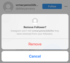 Maybe you would like to learn more about one of these? Instagram Ghost Followers Remove Or Ignore Blog Pioneer