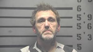 Ducklings rescued from drain in Newburgh