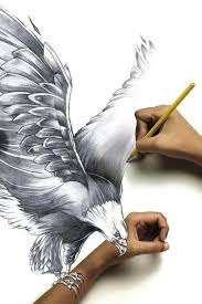 University Life Timeline Photos 3d Pencil Art Eagle Drawing Art
