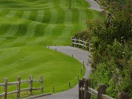 Საკონტაქტო ინფორმაცია, მისამართი, ტელეფონის და ფაქსის ნომრები. Dll Official Website