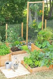 Mini Vegetable Garden Ideas Small Vegetable Gardens Backyard Vegetable Gardens Vegetable Garden Design