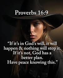 Proverbs Proverbs16:9 16:9 F0M0 "Ifit's in God's will, it will happen &  nothing will stop it. Ifit's not, God has a better plan. Have peace knowing  this."