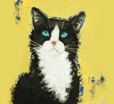 Explore other popular pets near you from over 7 million businesses with over 142 million reviews and opinions from yelpers. Madison Cat Vet For Cat People Cat Care Clinic