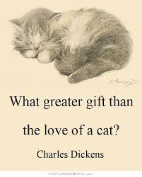 What Greater Gift Than The Love Of A Cat Yes Indeed Who Can Argue With That Cat Quotes Cats Cat Love