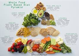 Plant Based Diet Food Pyramid Thisismyear Plant Based