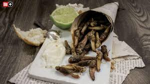 Da Ist Der Wurm Drin Kann Man Sie Mit Insekten Kodern Lebensmittel Essen Essen Und Trinken Essen