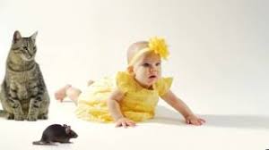 Robert half has been connecting job seekers with leading employers for nearly seven decades. Pest Control Exterminator In Nj Chemtec Pest Control