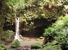 Auf orangesmile.com finden sie alle infos mit den sie ihre reise nach insel dominica aufregend und spannend machen können: Urtumliche Karibik Dominica Die Junge Insel Der Zentenare Raushier
