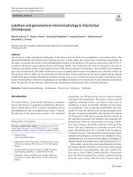 Image result for Polystachya caloglossa