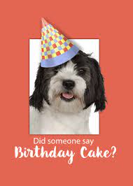 Happiest Birthdays Are Made Of Wishes From Your Adorable Dogs Happybirthday Doggies Puppylove Birthdayha Dog Birthday Hat Birthday Hat Dog Birthday Card