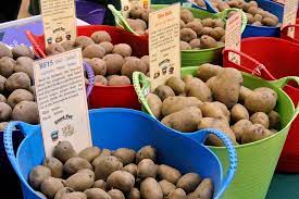 How To Grow Potatoes In Containers Rhs Campaign For School Gardening