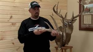 We supply shed antlers as well as legally taken racks, skulls, and mounts of elk, moose, whitetail deer, blacktail deer, mule deer, caribou , stag , and more from average to large, including boone & crocket specimens. World Record Whitetail Shed Antler One Year Later Youtube