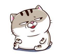 Pin On Meowcos