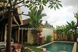 Villa Jember Bali Coconut Living Property