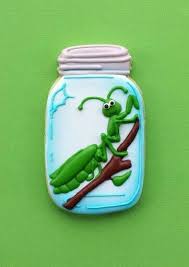 Cdcf459120d4f823b33bf6637aec6b15 Jpg 362 512 Pixels Mason Jar Cookies Fancy Cookies Cookie Decorating