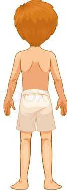 The diaphragm forms the upper surface of the abdomen. Lower Body Parts Diagram Quizlet