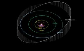 Image result for Salacia