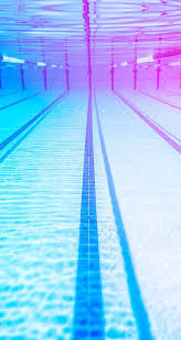 Swimming Swimming Photography Swimming Pool Images Swimming Motivation