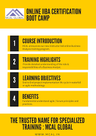Mcal Announces Our New Instructor Led Online Business Analysis Training Program Focused On Iiba S Ecba Entry Certi Business Analysis Business Analyst Analysis