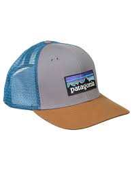 Patagonia P 6 Logo Trucker Hat Feather Grey Bear Brown 6 Logo Trucker Hat Hats