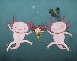 Cute cartoon axolotl | axolotl cute, cute drawings, animal. Illustration Friday Swim Axolotl Cartoon Animals Cute Art