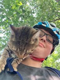 Lost cat in South Bend area?