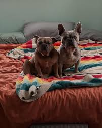 Bonnie Thunders (@bonniethunders) · Instagram 照片和视频