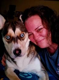 Not my husky and not my pit Not my post **kirksage**