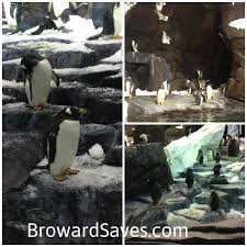 The difference between the mild or the wild is less movement and spinning in the mild version.) Seaworld Antarctica Empire Of The Penguin Has Opened Living Sweet Moments