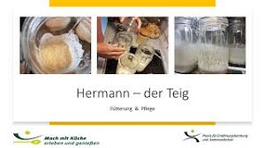 100 g weizenmehl, 150 g zucker und 150 ml milch einrühren. Hermann Teig Futterung Und Pflege Teil Ii Youtube