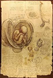 Rare Da Vinci Anatomical Drawings Go On Display Sketch Book Leonardo Da Vinci Baby Sketch