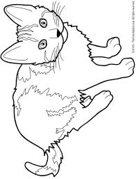 678x600 blaze cartoon coloring pages blaze the cat coloring pages coloring. Blaze The Cat Coloring Pages Free Coloring Library