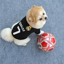 Kucuk Kopek Giyim T Shirt Kopek Yelek Kopek Kostum Kucuk Kopek Giysileri Icin Yaz T Shirt Giysileri Kucuk Kopek Giysileri Icin Xs L Small Dog Clothes Chihuahua Puppy Clothes Dog Summer Clothes