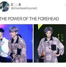 Pin By Michaella Ivie On K Pop Exo Funny Exo Memes Exo