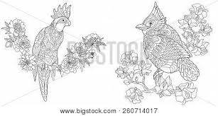 These alphabet coloring sheets will help little ones identify uppercase and lowercase versions of each letter. Coloring Pages Vector Photo Free Trial Bigstock