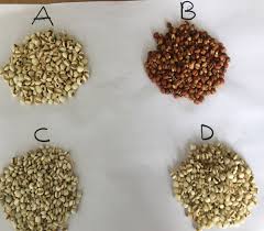 Image result for Coix