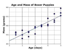 Big mac boxers where quality, health, type, & temperament meet! A Veterinarian Collected Data On The Association Between Age And Mass Of Boxer Puppies A Line Of Brainly Com