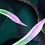 Profile Picture of Lucas Meyer Cosmetics - Clariant (@clariant.com) on Google