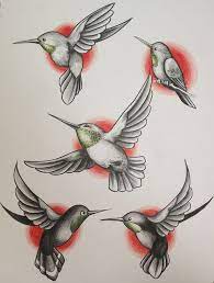 Hummingbird Flash Hummingbird Art Hummingbird Tattoo Birds Tattoo