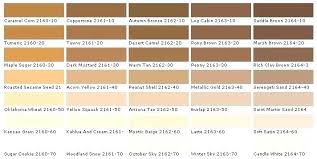 light brown shades paint color for living room dulux wall