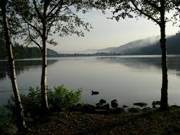 The following 37 files are in this category, out of 37 total. Black Forest In Winter Review Of Lake Titisee Titisee Neustadt Germany Tripadvisor