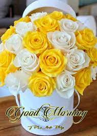 Check spelling or type a new query. Pin On Good Morning Greetings