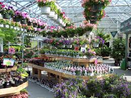 There is more to starting a business than just registering it with. 170 Best Nursery Plant Layouts Ideas Garden Center Displays Garden Shop Garden Center