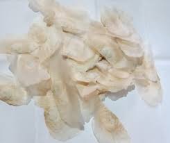Pioneer Natural Oroxylum indicum, Shyonaka Seed Price in India - Buy Pioneer Natural Oroxylum indicum, Shyonaka Seed online at Flipkart.com