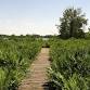 America 250: Cranberry Bog Open House
